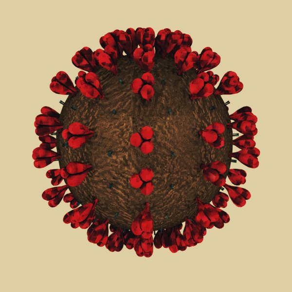 3d mers-cov coronavirus ncov model