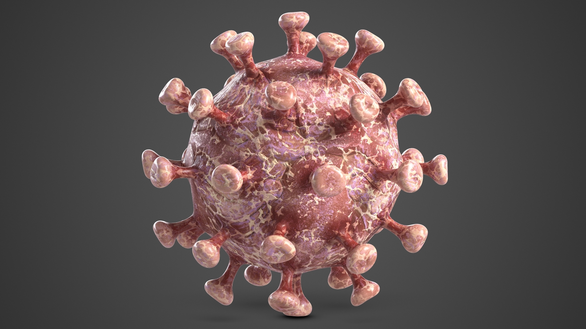 coronavirus 2 covid-193d模型