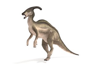 3D model parasaurolophus rigged animation