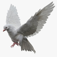Animais 3d models