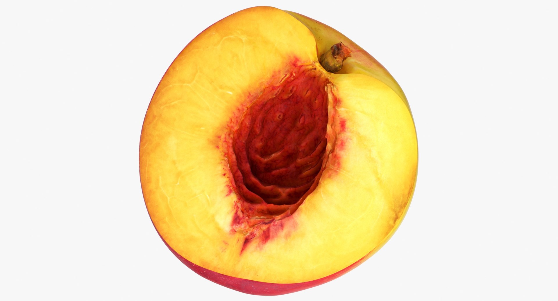 Nectarine 05 cut half 3D TurboSquid 1505128
