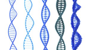 3D dna science helix