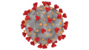 3D virus coronavirus