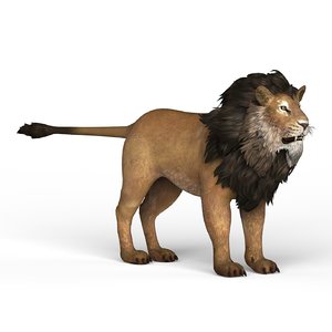 3D lion materials