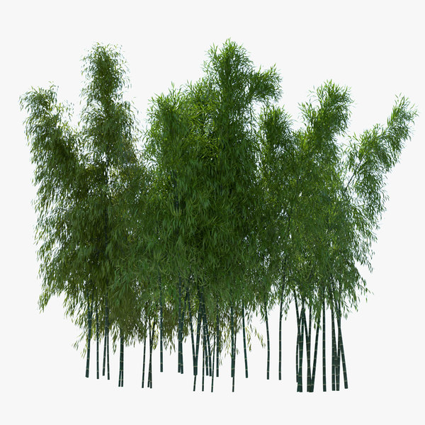 Bamboo 3d Turbosquid