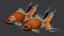 goldfish skin maps 3d model