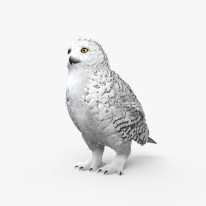 snowy owl 3D model