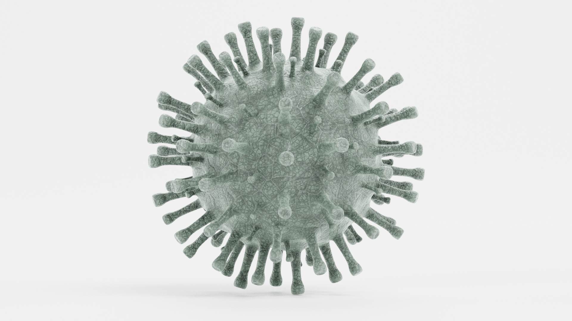 冠状病毒23d模型