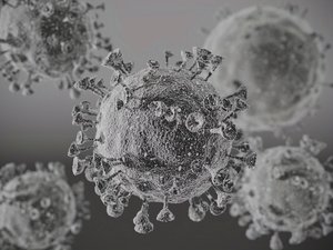 coronavirus virus 3D model