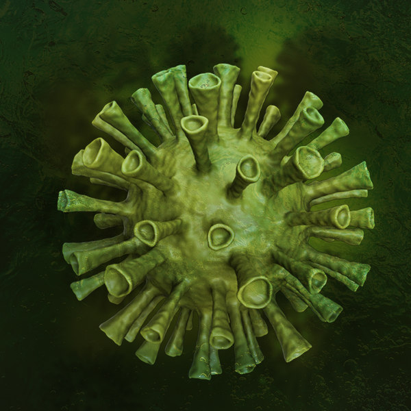 冠状病毒3d模型