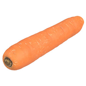 3D photorealistic scanned carrot
