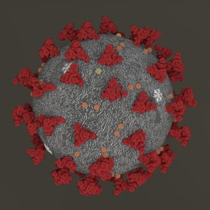 coronavirus 2019-ncov 3D model