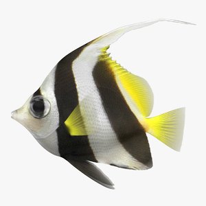 3D bannerfish scanline model