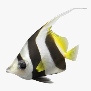 bannerfish rigged 3D model