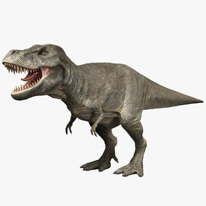 tyrannosaurus rig rex 3D model