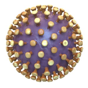 3D modeled coronavirus 90161 model