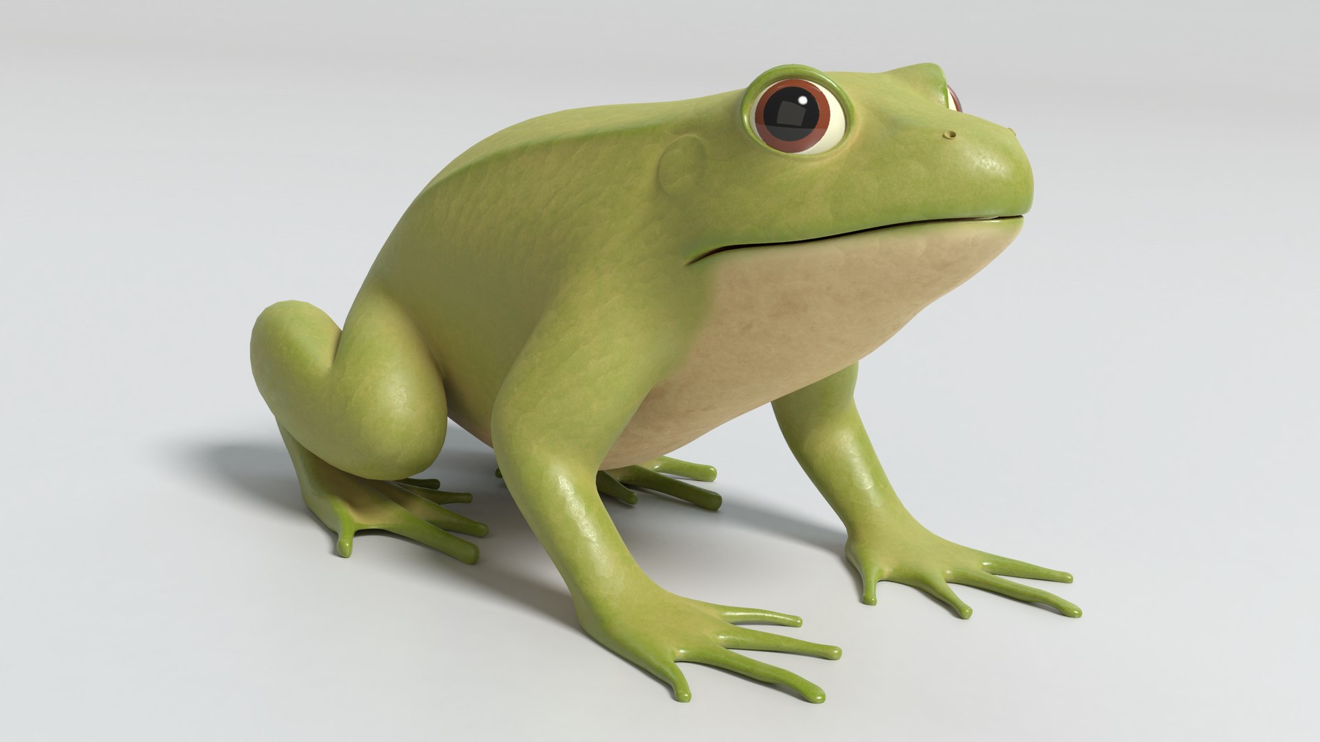 3D model cartoon frog TurboSquid 1508446