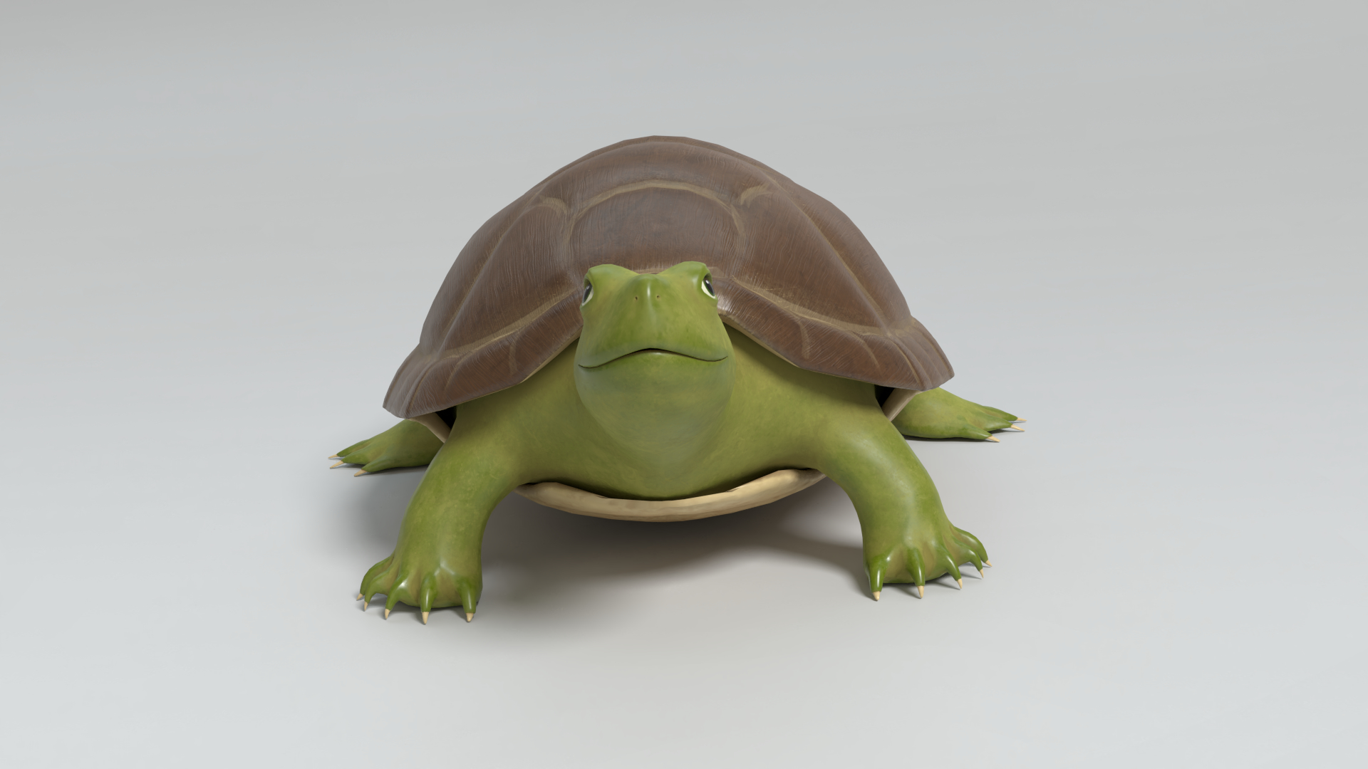 3D cartoon turtle - TurboSquid 1508442