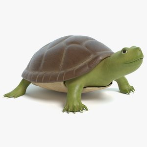 3D cartoon turtle