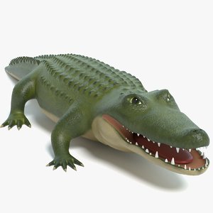 3D Alligator Models | TurboSquid