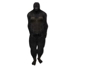 human rigged gorilla avatar 3D