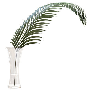 glass vase exotic plant 3D model