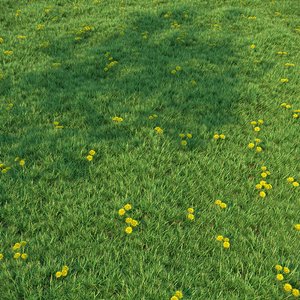 grass landscaping 3D