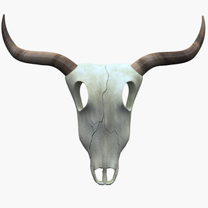 cow skull 3D model
