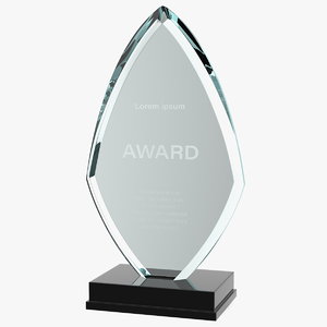 3D flame glass award trophy