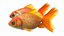 rigged goldfishes idol 3d model