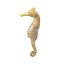 rigged goldfishes idol 3d model
