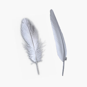 3D model feather