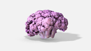 3D purple scanned vegetable