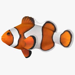 clownfish scanline model