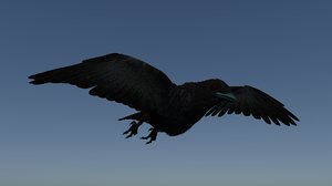 3D model crow modeled