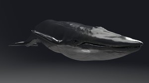 blue whale unreal engine 3D