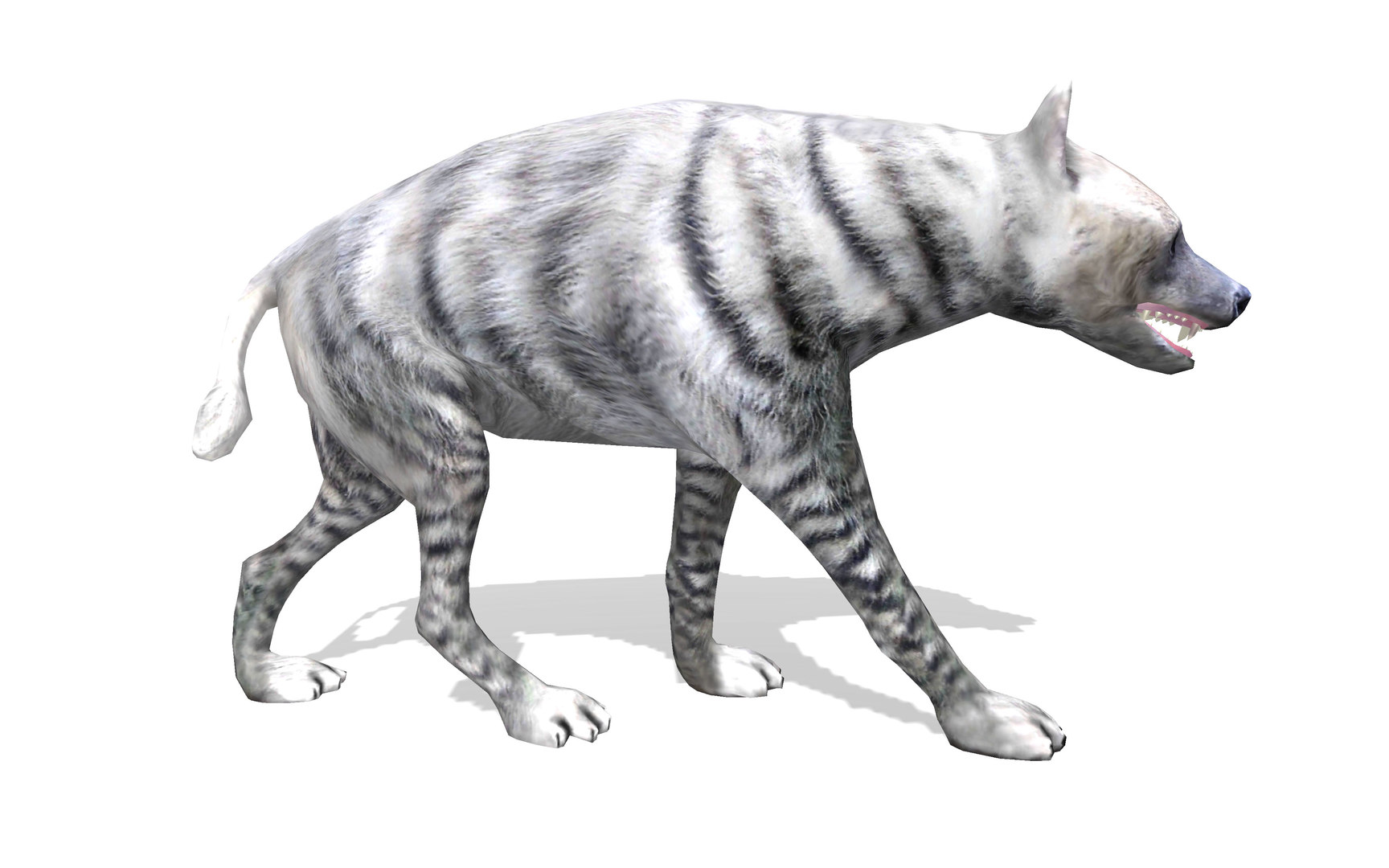 Wild animal white hyena 3D model - TurboSquid 1510888