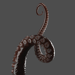 tentacle 3D model