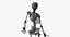 skin female skeleton muscles 3D model