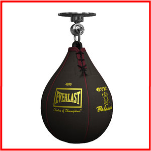 3d boxing speed bag