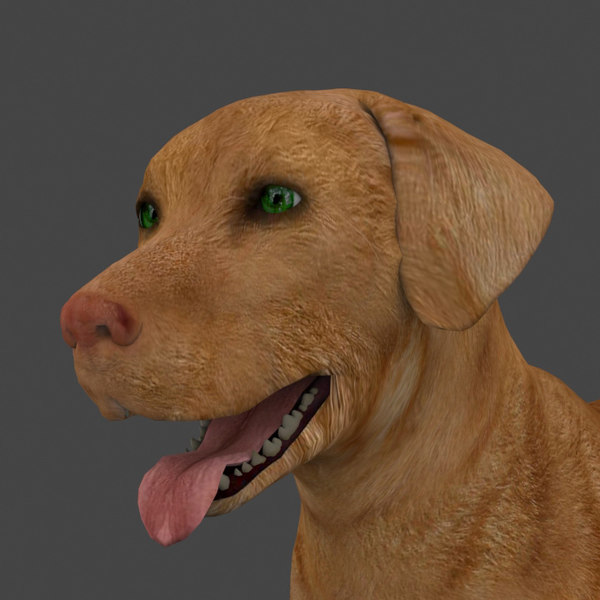 Animated Dog Blender Models for Download TurboSquid