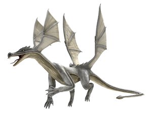 dragon rigged 3D model