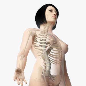 3D skin asian female skeleton