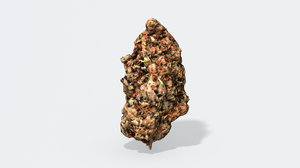 marijuana bud 2 - 3D model