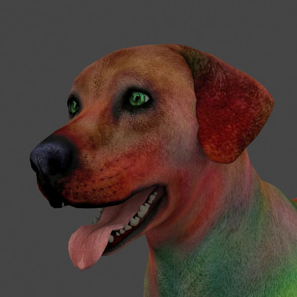 Animated Dog Blender Models for Download TurboSquid