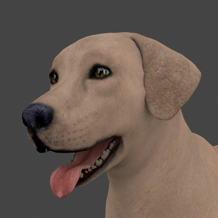rigged dog 3d model for blender free download