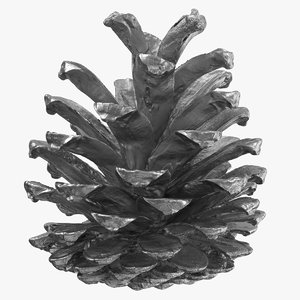 pine cone 01 silver model