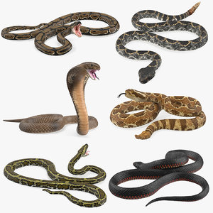 rigged snakes 4 3D
