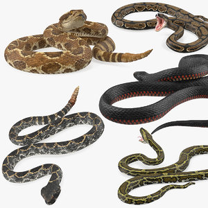 rigged snakes 3 3D model