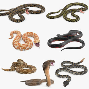 3D model rigged snakes 5